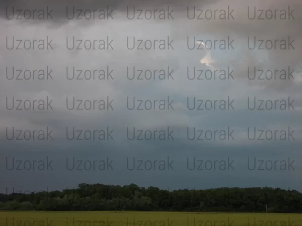 oc08f010w118